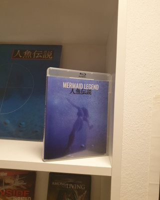mermaid legend 2.jpg