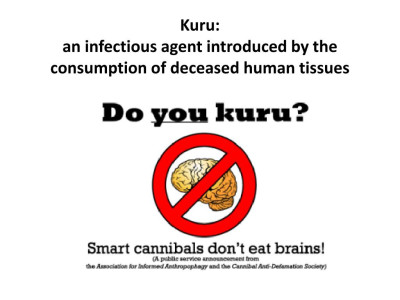 brain.jpg