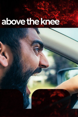 above the knee.jpg