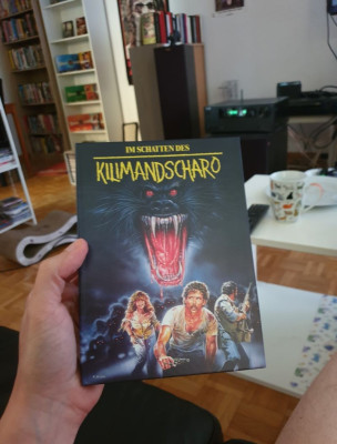 Im Schatten des Kilimandscharo.jpg