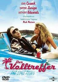 Volltreffer.jpg